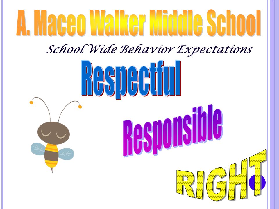 School Wide Behavior Expectations