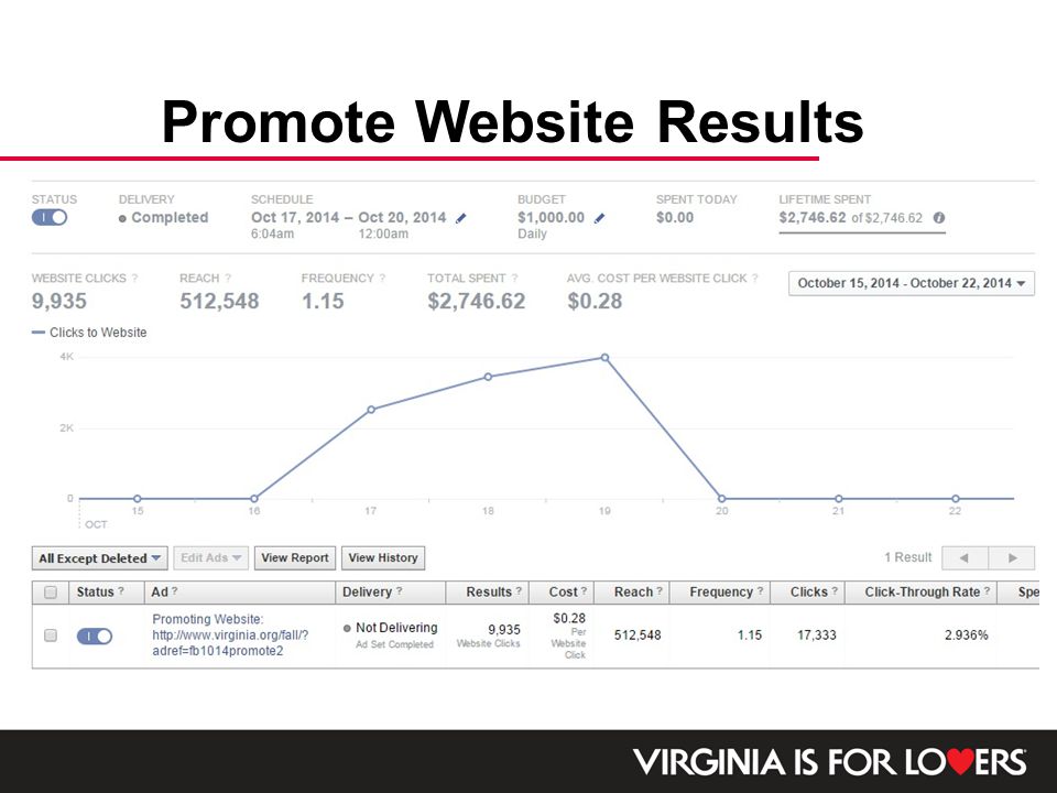 Promote Website Results