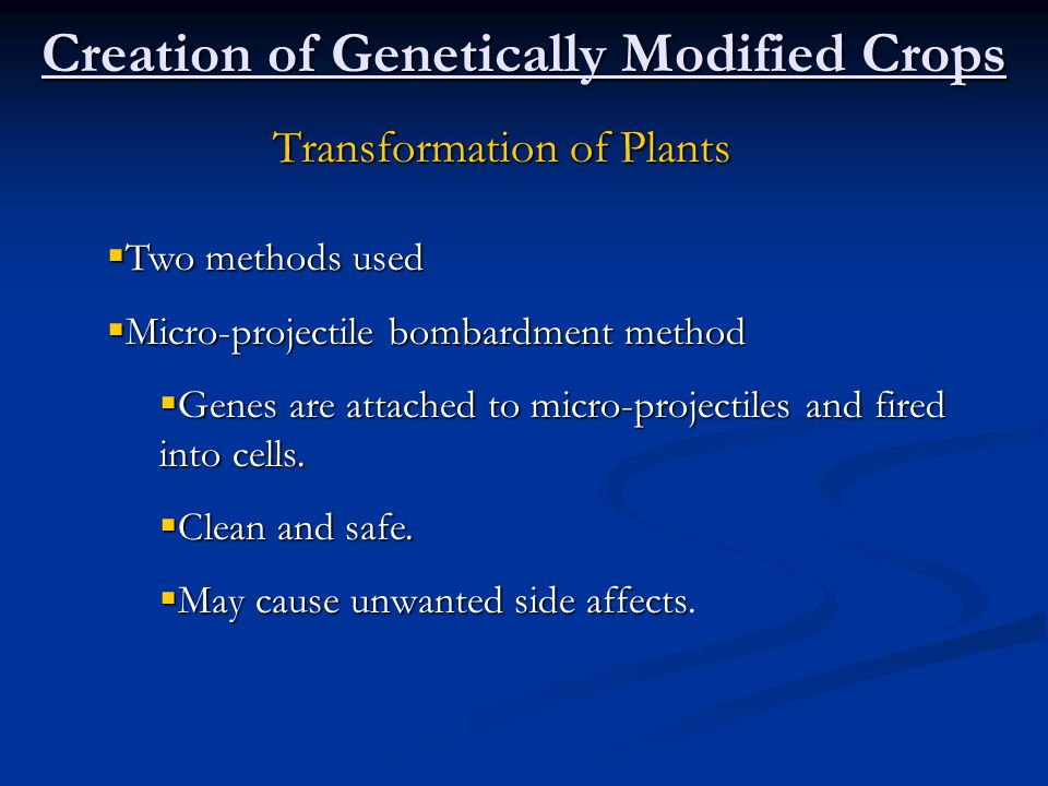 Creation of Genetically Modified Crops Transformation of Plants  Two methods used  Micro-projectile bombardment method  Genes are attached to micro-projectiles and fired into cells.