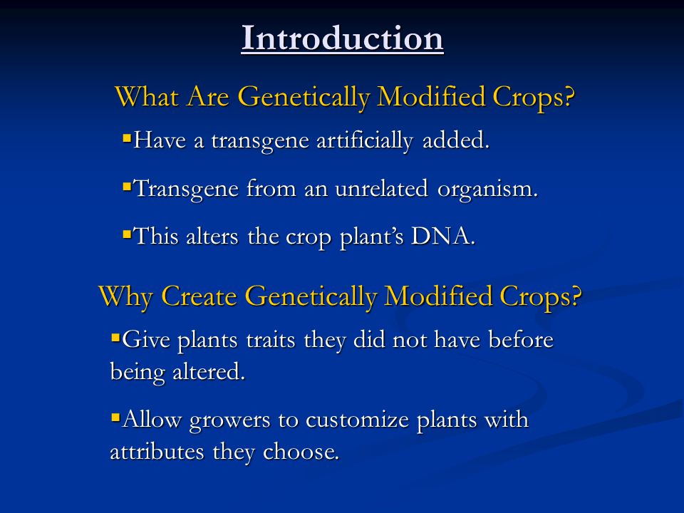 Introduction What Are Genetically Modified Crops.  Have a transgene artificially added.