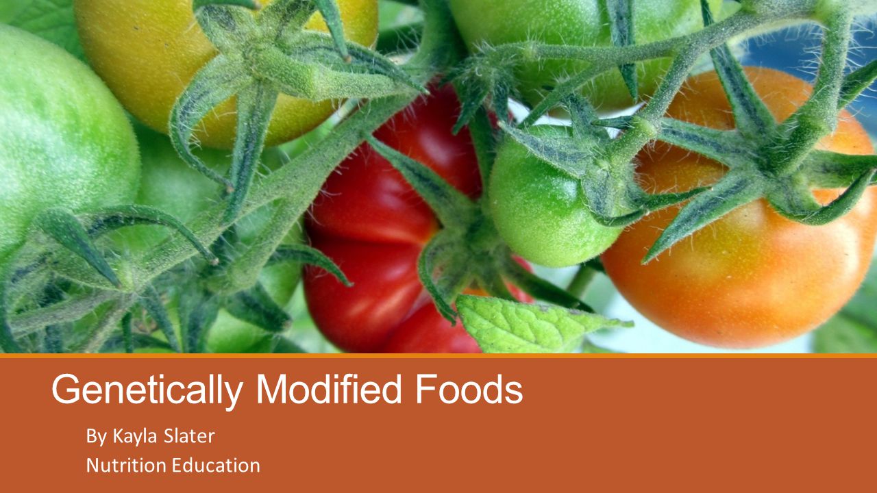 Genetically Modified Foods By Kayla Slater Nutrition Education