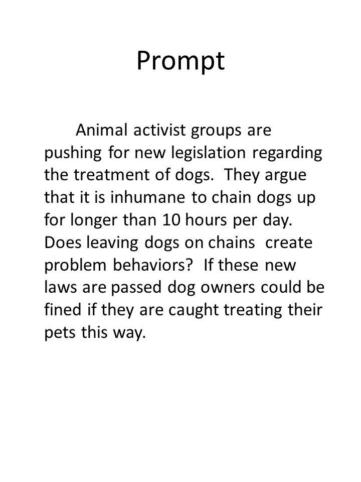 Prompt Animal activist groups are pushing for new legislation regarding the treatment of dogs.