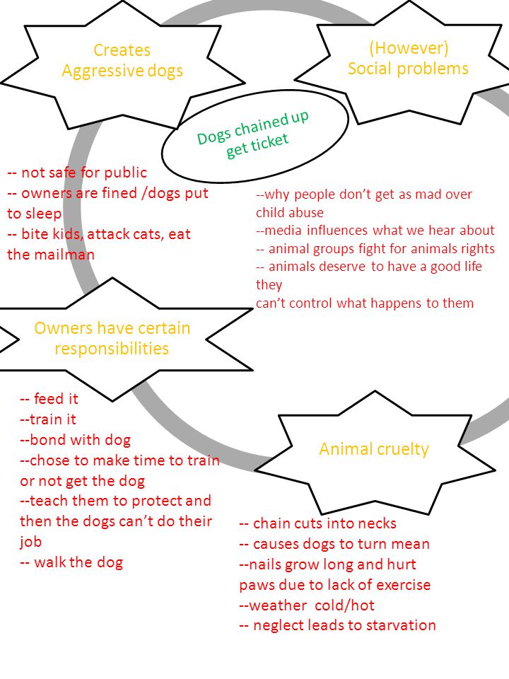 Persuasive paper Should dog owners receive a citation if their dog is tied  up for longer than 10hours per day? - ppt download