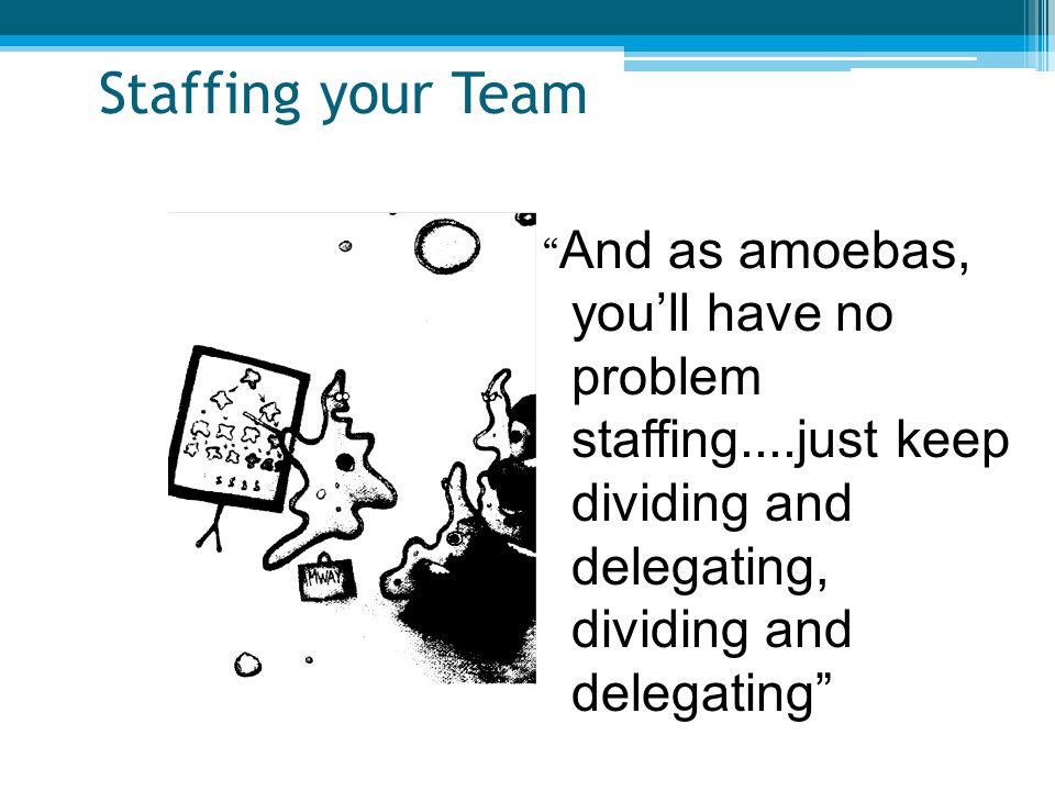 Staffing your Team And as amoebas, you’ll have no problem staffing....just keep dividing and delegating, dividing and delegating