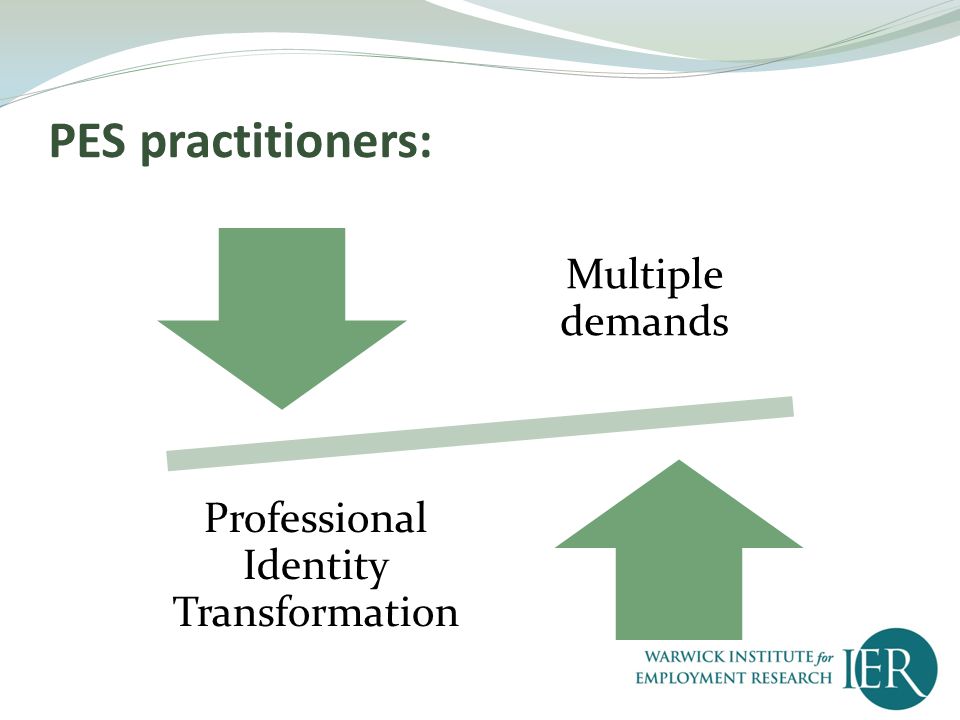 PES practitioners: Multiple demands Professional Identity Transformation