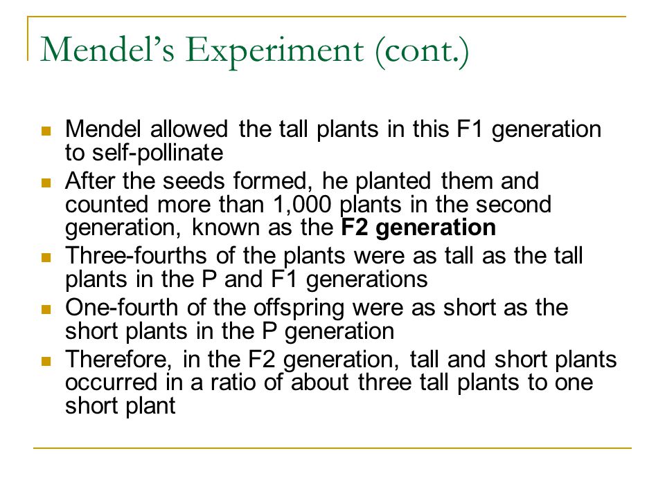 Mendel’s Experiment (cont.) Mendel allowed the tall plants in this F1 generation to self-pollinate After the seeds formed, he planted them and counted more than 1,000 plants in the second generation, known as the F2 generation Three-fourths of the plants were as tall as the tall plants in the P and F1 generations One-fourth of the offspring were as short as the short plants in the P generation Therefore, in the F2 generation, tall and short plants occurred in a ratio of about three tall plants to one short plant