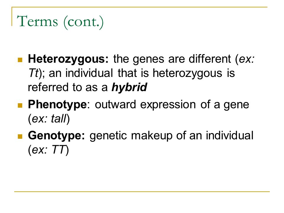 Terms (cont.) Heterozygous: the genes are different (ex: Tt); an individual that is heterozygous is referred to as a hybrid Phenotype: outward expression of a gene (ex: tall) Genotype: genetic makeup of an individual (ex: TT)