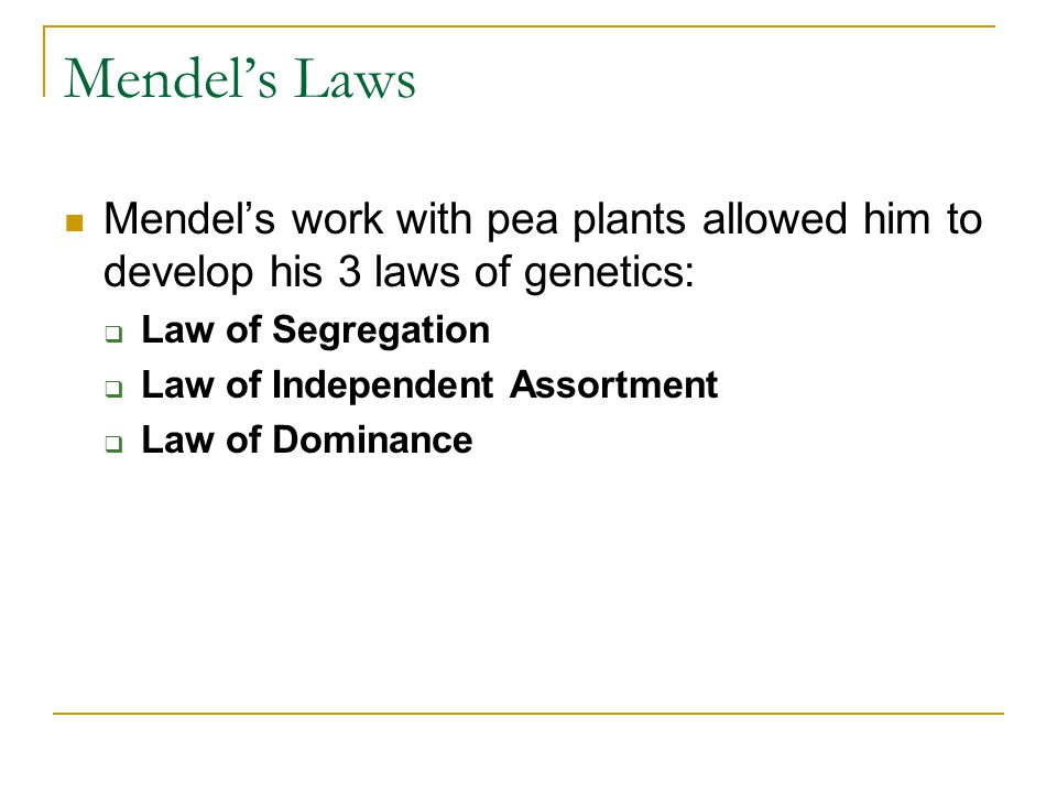 Mendel’s Laws Mendel’s work with pea plants allowed him to develop his 3 laws of genetics:  Law of Segregation  Law of Independent Assortment  Law of Dominance