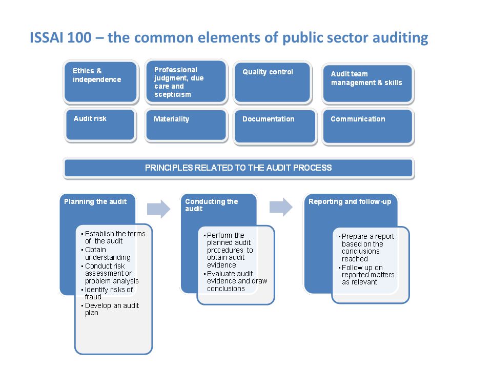 ISSAI 100 – the common elements of public sector auditing
