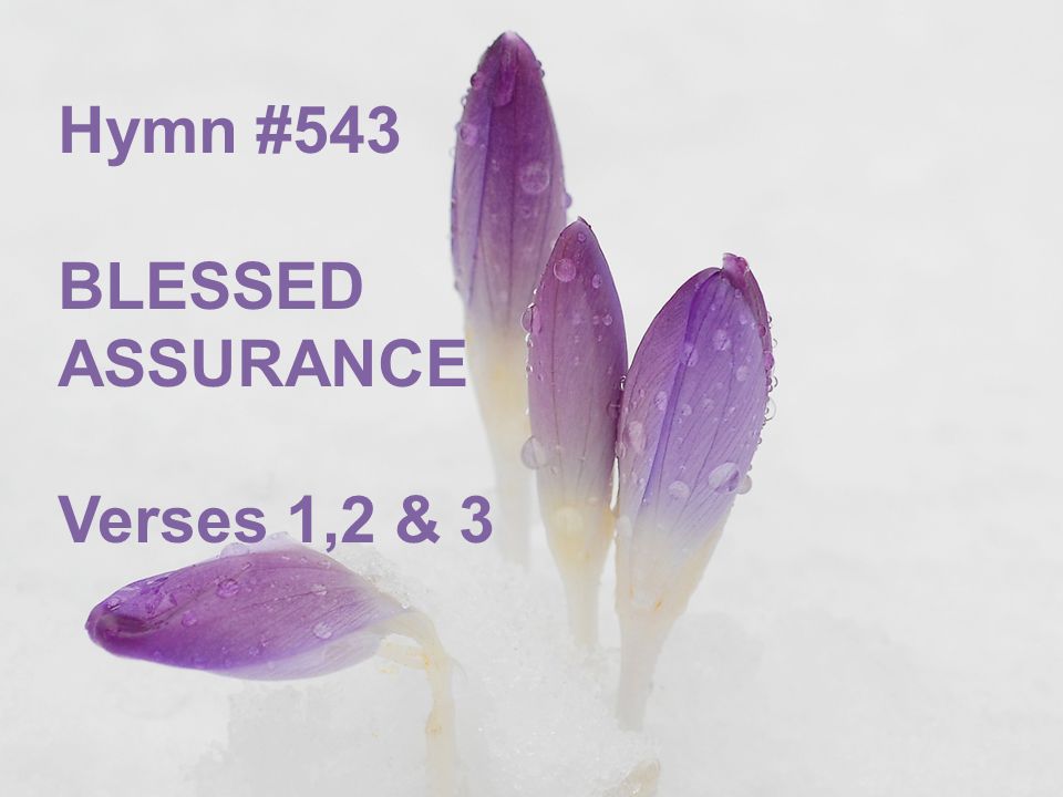 Hymn #543 BLESSED ASSURANCE Verses 1,2 & 3