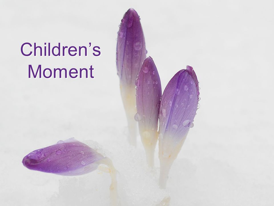 Children’s Moment