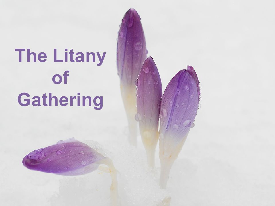 The Litany of Gathering