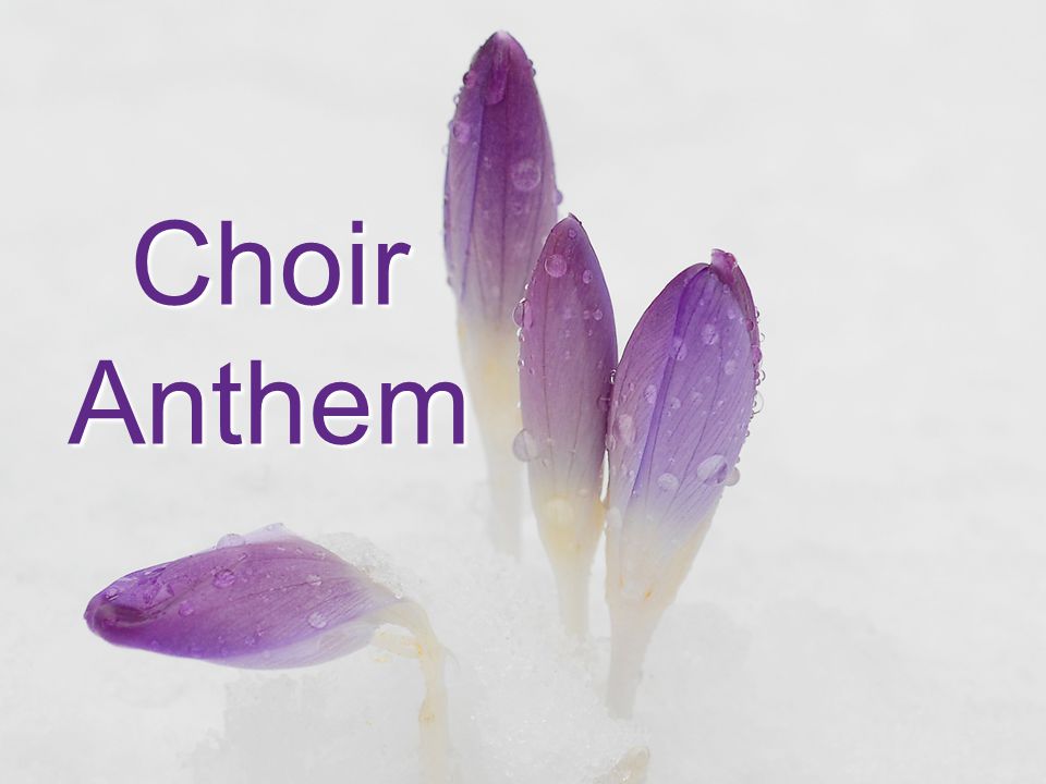 Choir Anthem