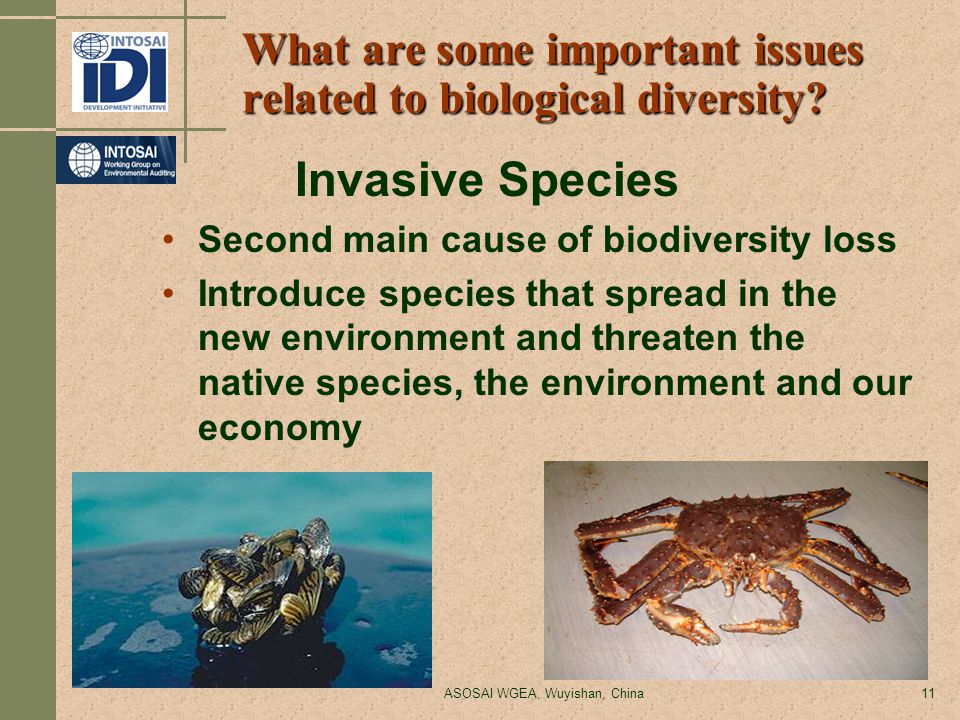 ASOSAI WGEA, Wuyishan, China11 What are some important issues related to biological diversity.