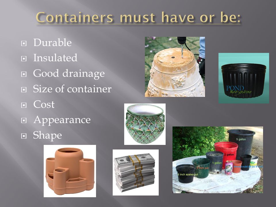  Durable  Insulated  Good drainage  Size of container  Cost  Appearance  Shape