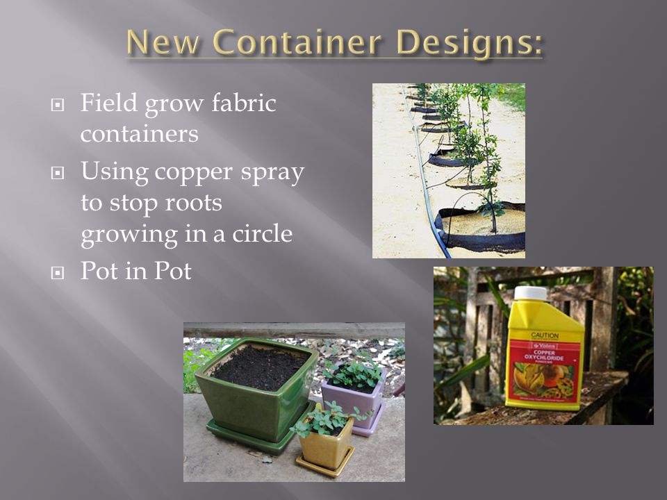  Field grow fabric containers  Using copper spray to stop roots growing in a circle  Pot in Pot