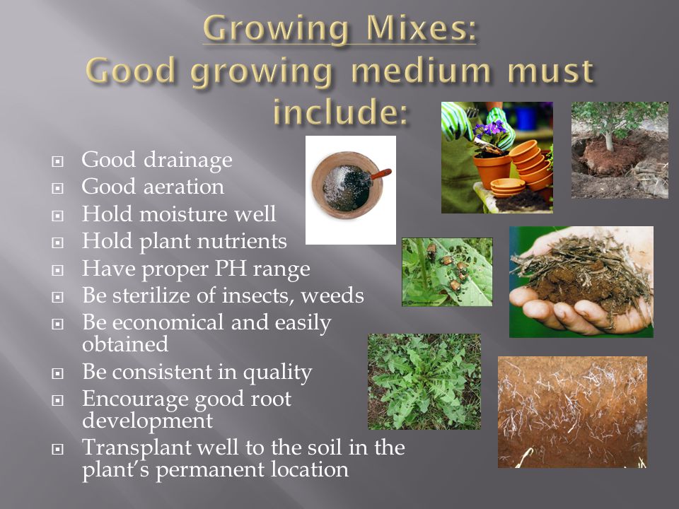  Good drainage  Good aeration  Hold moisture well  Hold plant nutrients  Have proper PH range  Be sterilize of insects, weeds  Be economical and easily obtained  Be consistent in quality  Encourage good root development  Transplant well to the soil in the plant’s permanent location