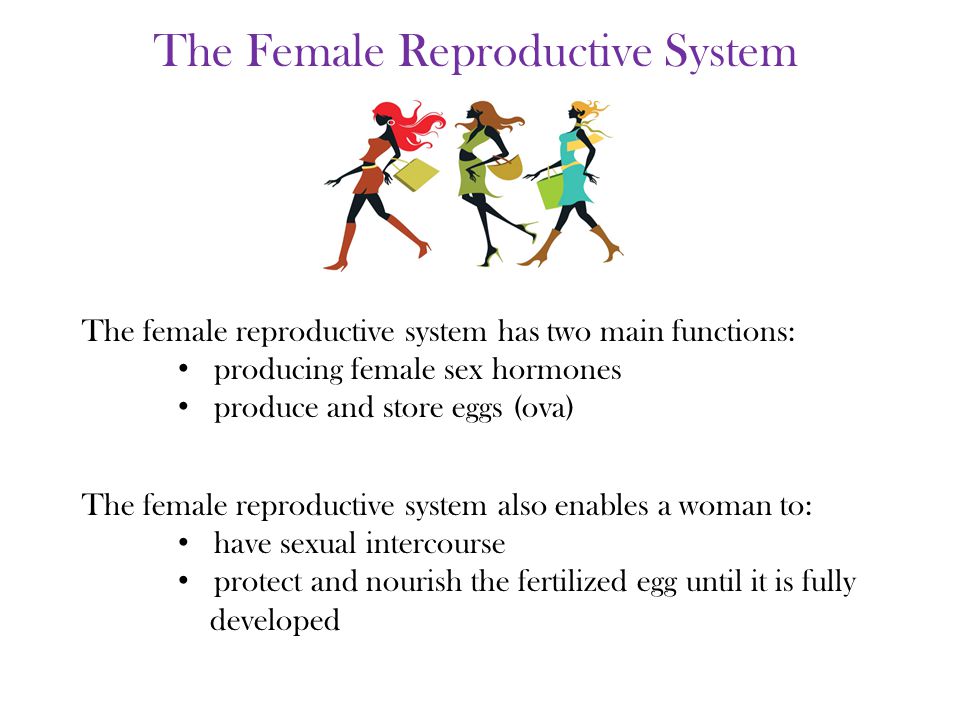 The female reproductive system also enables a woman to: have sexual intercourse protect and nourish the fertilized egg until it is fully developed The female reproductive system has two main functions: producing female sex hormones produce and store eggs (ova) The Female Reproductive System