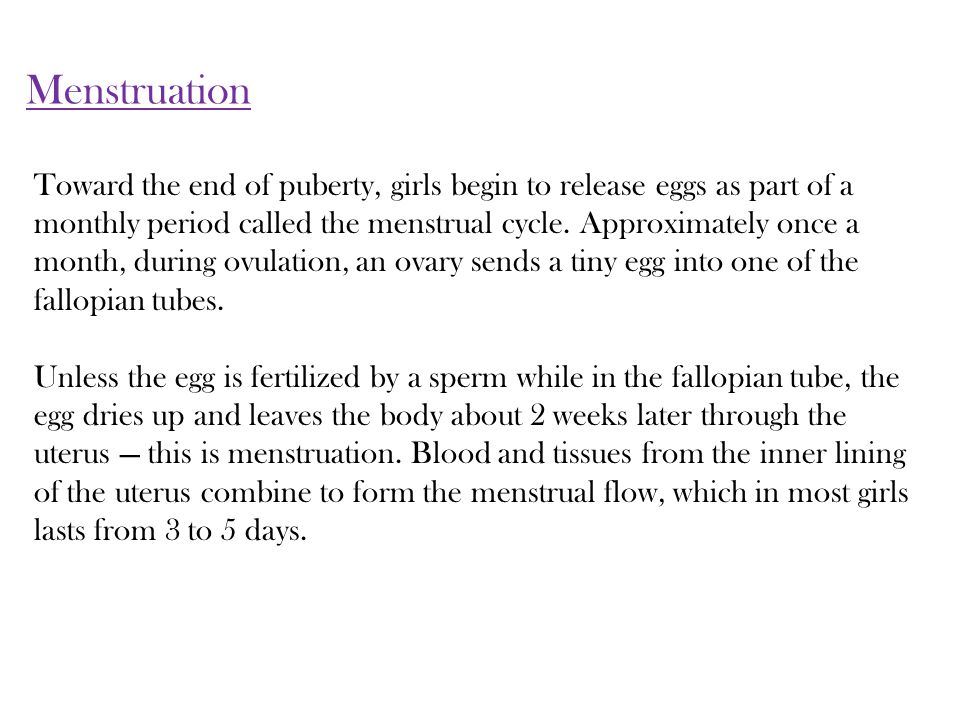Toward the end of puberty, girls begin to release eggs as part of a monthly period called the menstrual cycle.