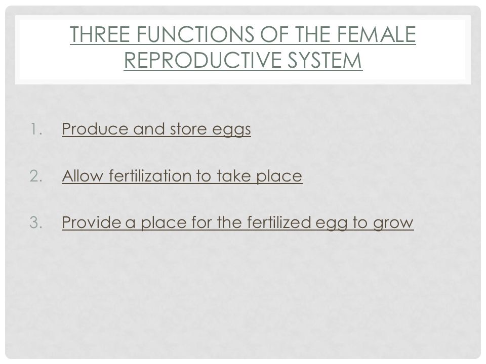 THREE FUNCTIONS OF THE FEMALE REPRODUCTIVE SYSTEM 1.Produce and store eggs 2.Allow fertilization to take place 3.Provide a place for the fertilized egg to grow