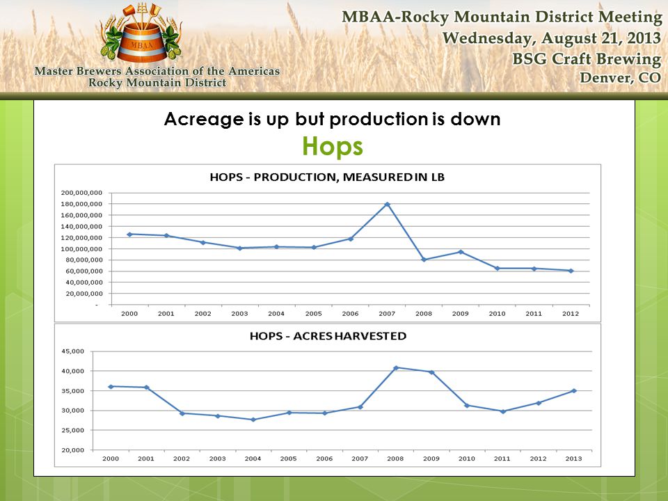 Acreage is up but production is down Hops
