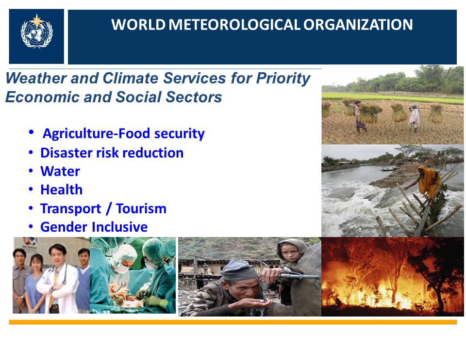 How do National Meteorological and Hydrological Services contribute to development.
