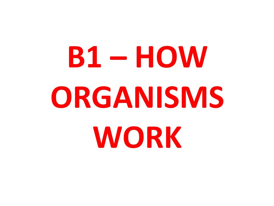B1 – HOW ORGANISMS WORK