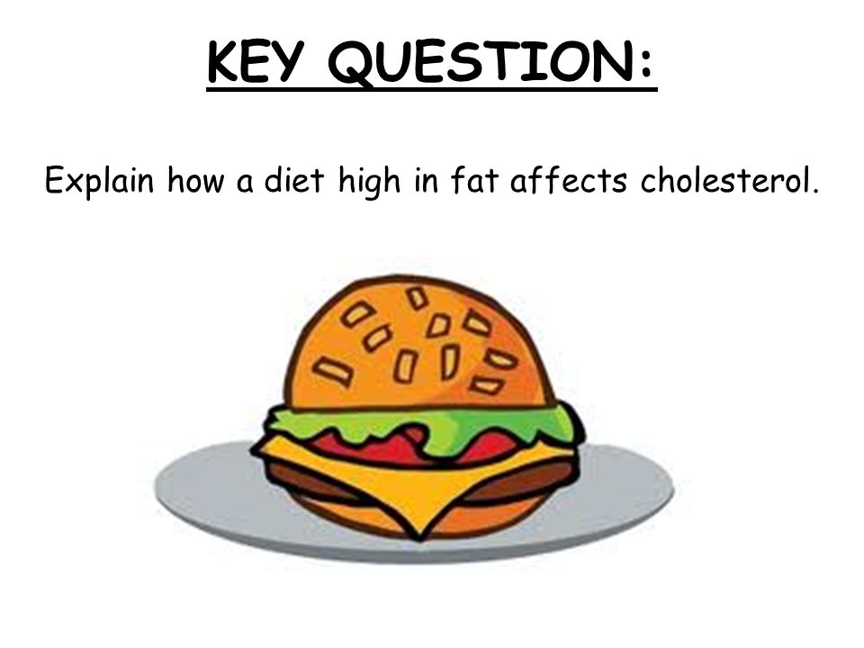 KEY QUESTION: Explain how a diet high in fat affects cholesterol.
