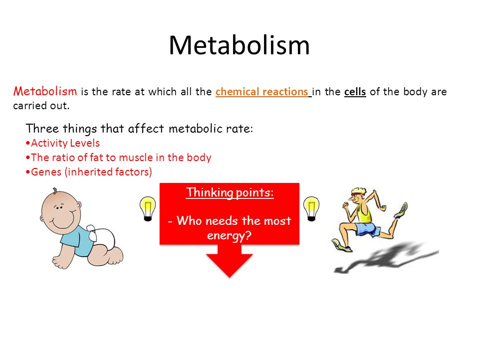 Metabolism Metabolism is the rate at which all the chemical reactions in the cells of the body are carried out.