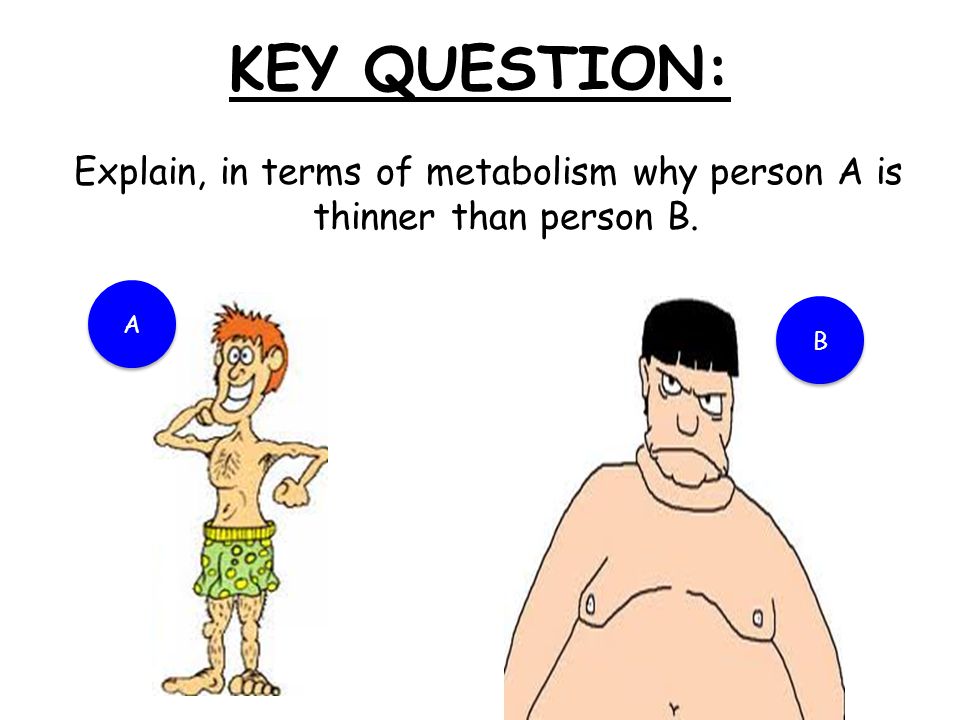 KEY QUESTION: Explain, in terms of metabolism why person A is thinner than person B. A A B B