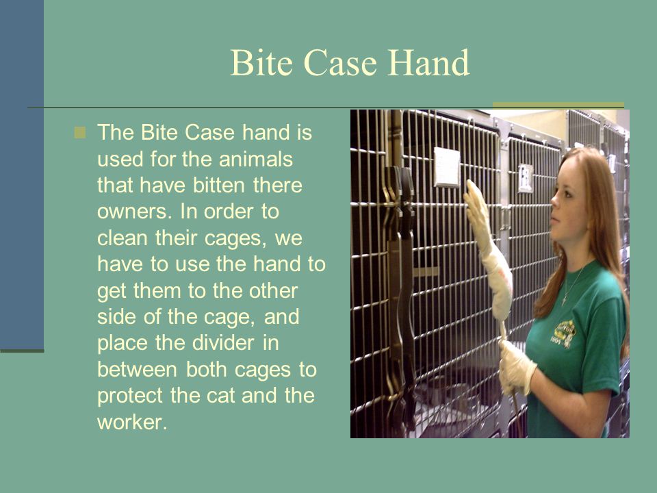 Bite Case Hand The Bite Case hand is used for the animals that have bitten there owners.