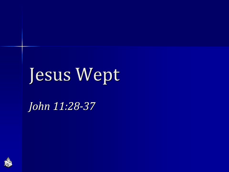 Jesus Wept John 11:28-37