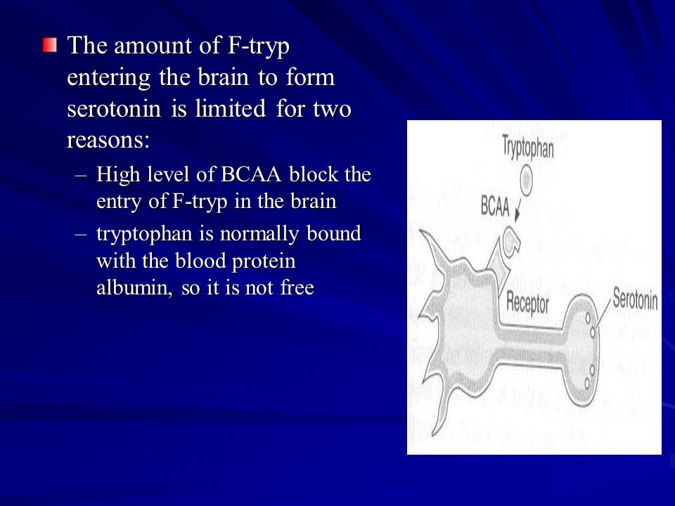 Effect of Branched Chain Amino Acids (BCAA) on Prolonged Physical Activity.  - ppt download