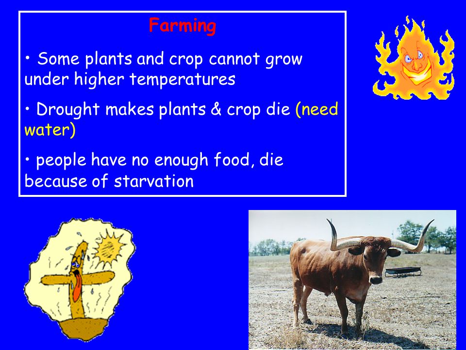 Farming Some plants and crop cannot grow under higher temperatures Drought makes plants & crop die (need water) people have no enough food, die because of starvation