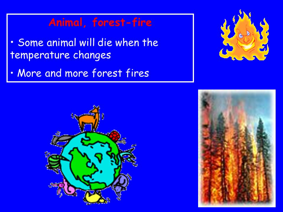 Animal, forest-fire Some animal will die when the temperature changes More and more forest fires