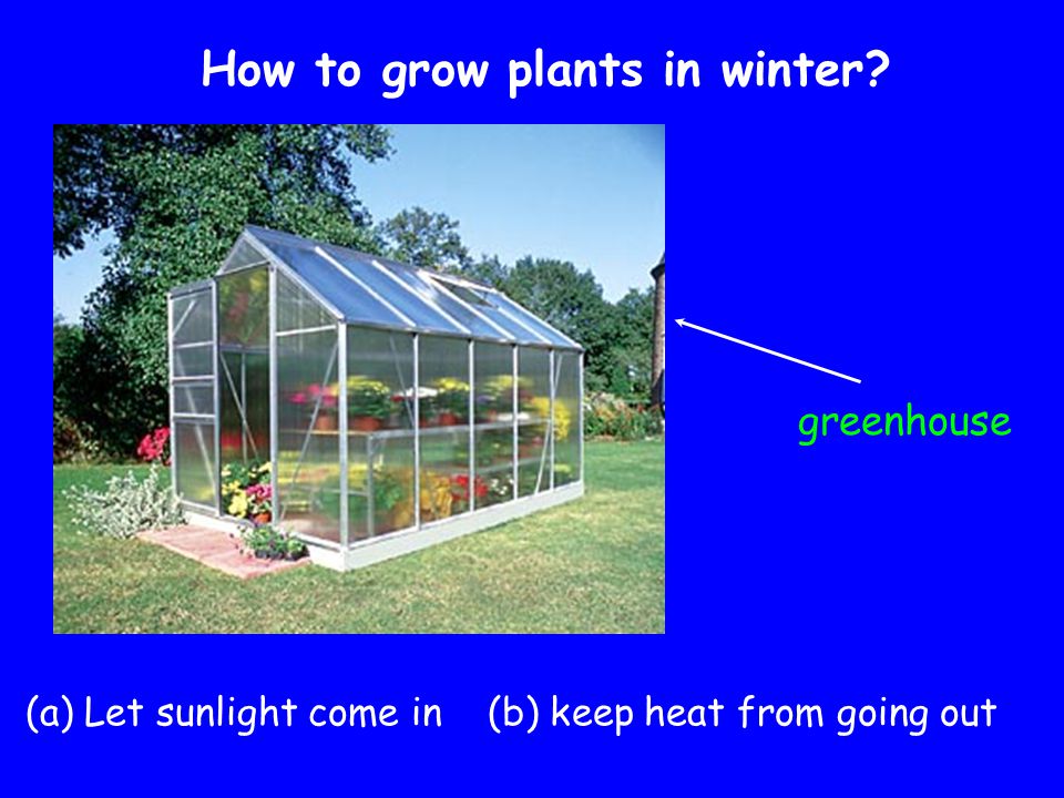 How to grow plants in winter greenhouse (a) Let sunlight come in (b) keep heat from going out