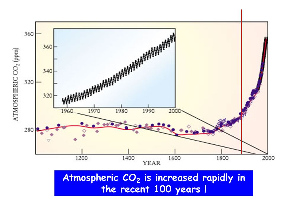Atmospheric CO 2 is increased rapidly in the recent 100 years !