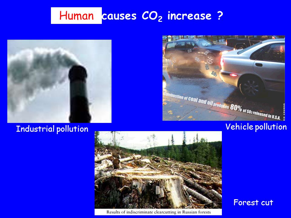 Who causes CO 2 increase Industrial pollution Forest cut Vehicle pollution Human