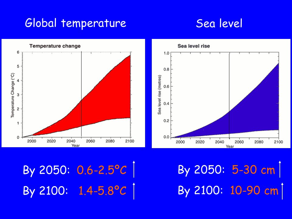 Global temperature Sea level By 2050: ºC By 2100: ºC By 2050: 5-30 cm By 2100: cm