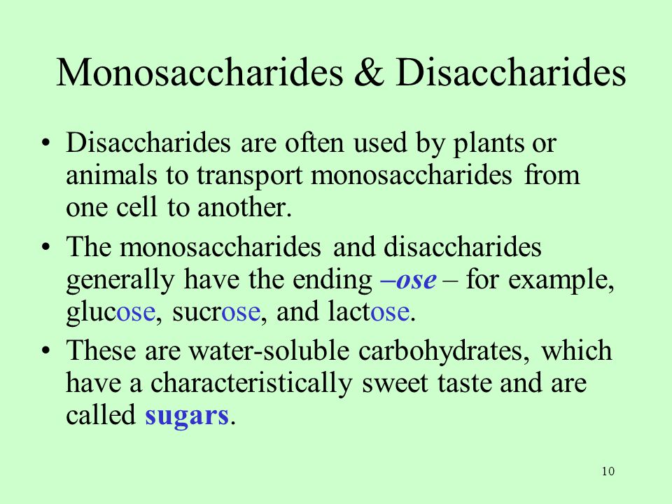 10 Monosaccharides & Disaccharides Disaccharides are often used by plants or animals to transport monosaccharides from one cell to another.