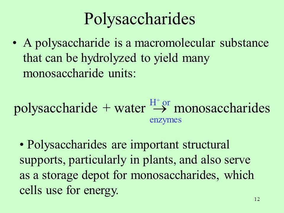 12 Polysaccharides A polysaccharide is a macromolecular substance that can be hydrolyzed to yield many monosaccharide units: polysaccharide + water  monosaccharides H + or enzymes Polysaccharides are important structural supports, particularly in plants, and also serve as a storage depot for monosaccharides, which cells use for energy.