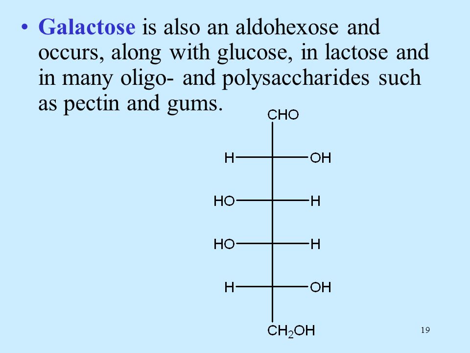19 Galactose is also an aldohexose and occurs, along with glucose, in lactose and in many oligo- and polysaccharides such as pectin and gums.