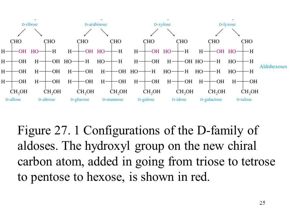 25 Figure Configurations of the D-family of aldoses.