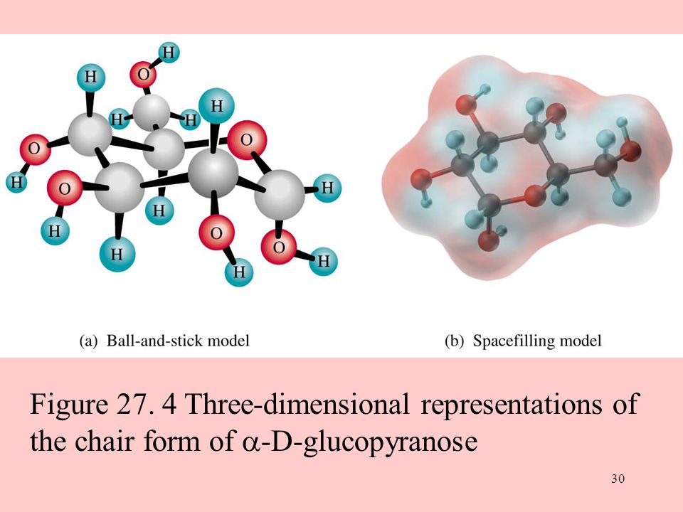 30 Figure Three-dimensional representations of the chair form of  -D-glucopyranose