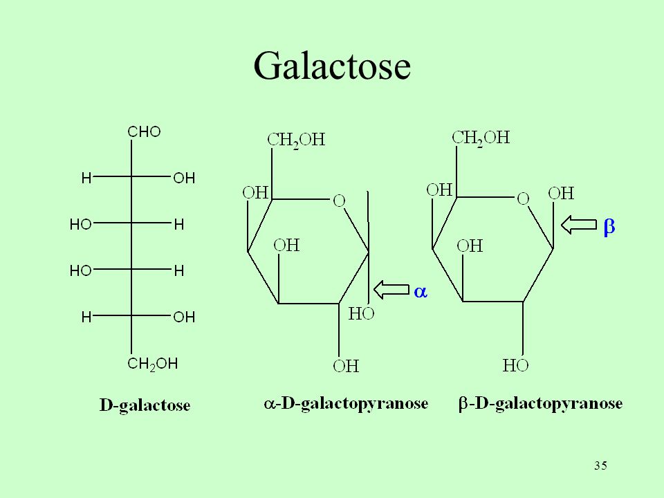 35 Galactose