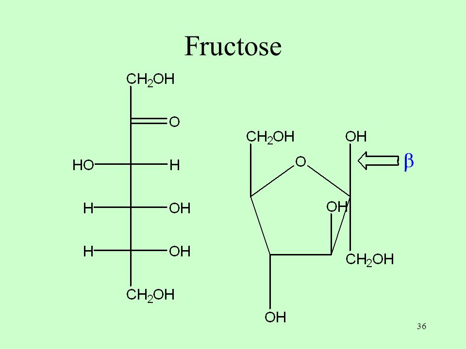 36 Fructose