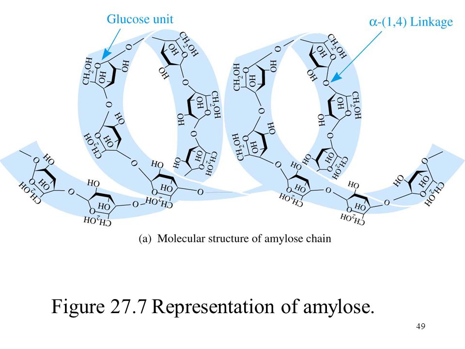 49 Figure 27.7 Representation of amylose.