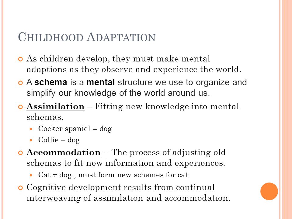 C HILDHOOD A DAPTATION As children develop, they must make mental adaptions as they observe and experience the world.