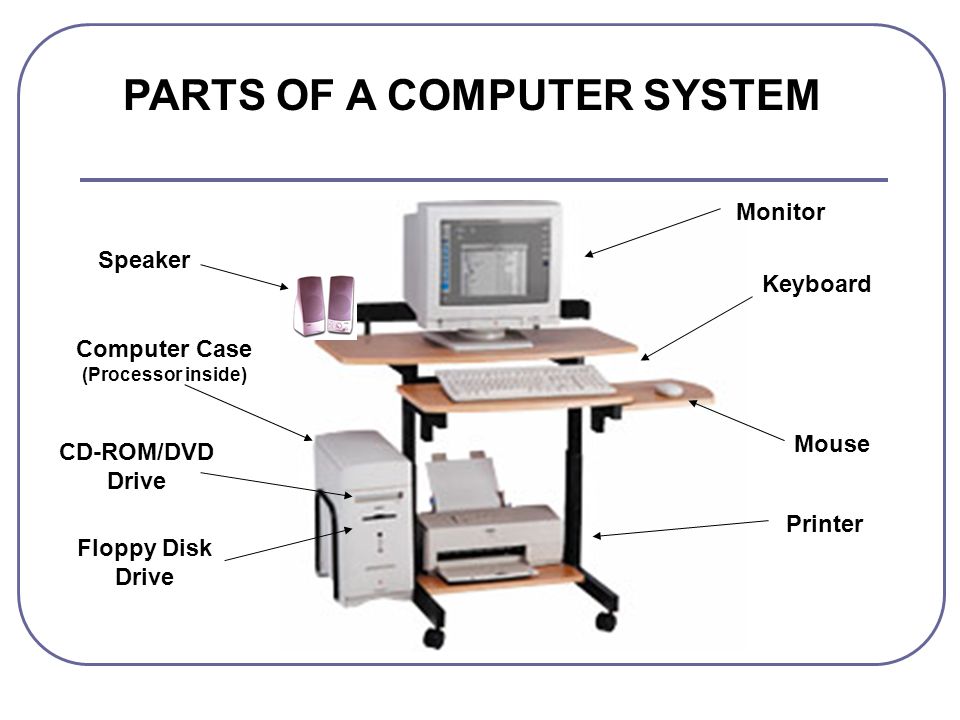 Monitor Keyboard Mouse Printer Speaker Computer Case (Processor inside) Floppy Disk Drive CD-ROM/DVD Drive PARTS OF A COMPUTER SYSTEM