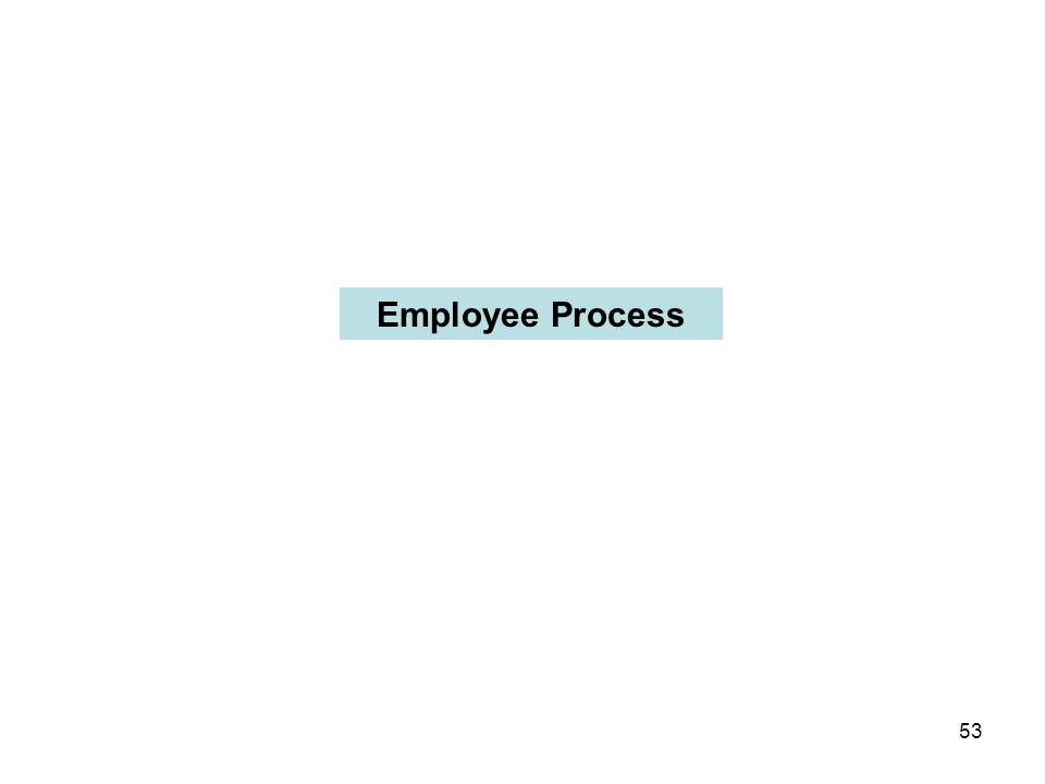 53 Employee Process